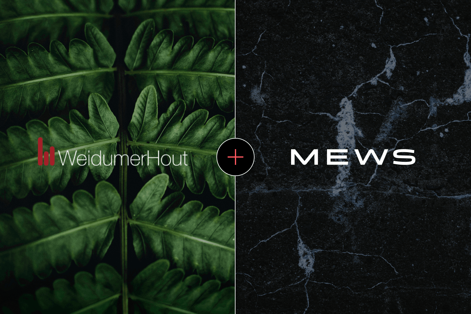 Press Header Weidumerhout 1560x1040 - imported from www.mews.com