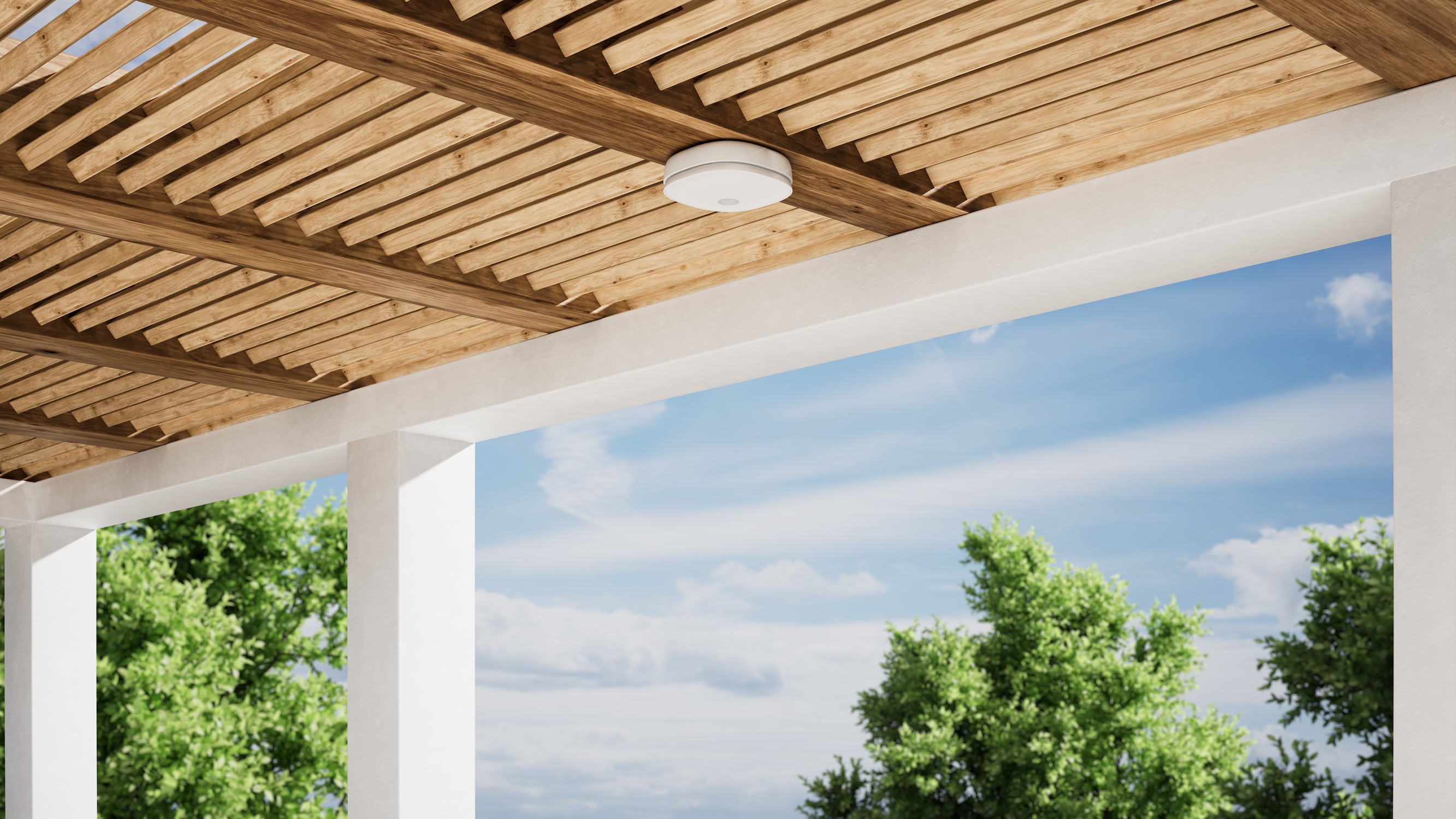 7eda993f-78ba-45d1-b089-b384008b3380 Product image