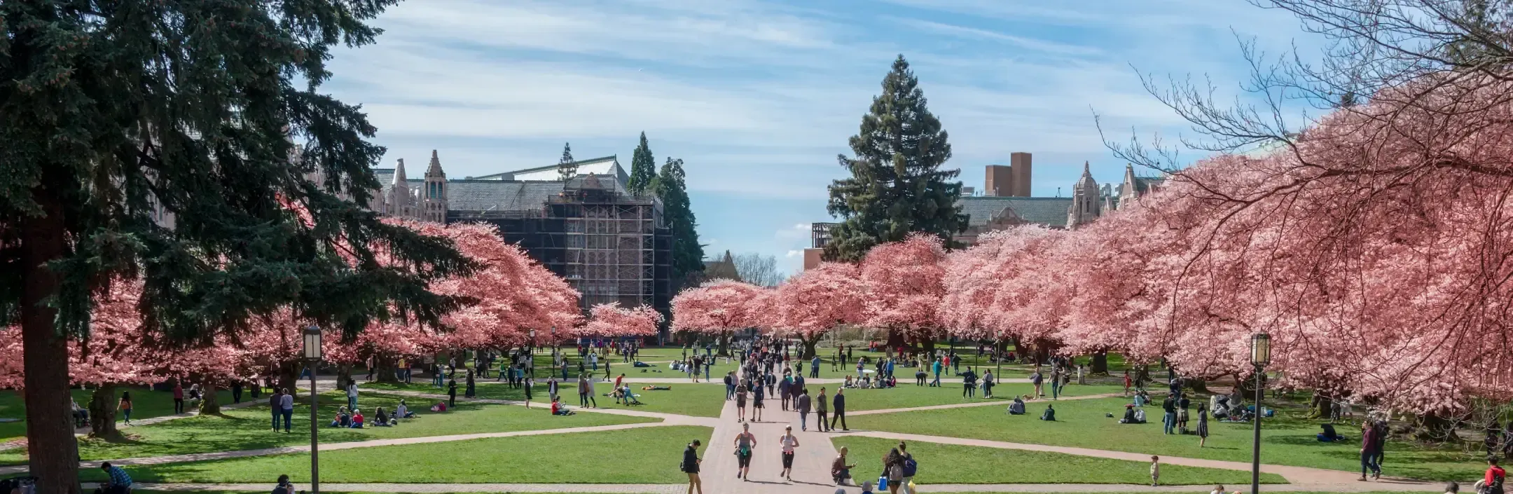 Blog post hero image