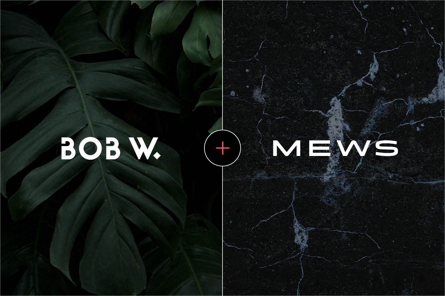 https://www.mews.com/hubfs/230223_03_BobWxMews_header.jpg
