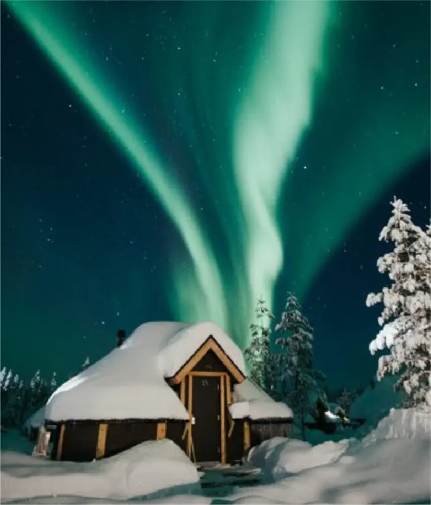 Category page tile- 854x1000-50-Jul-01-2022-12-31-41-65-PM