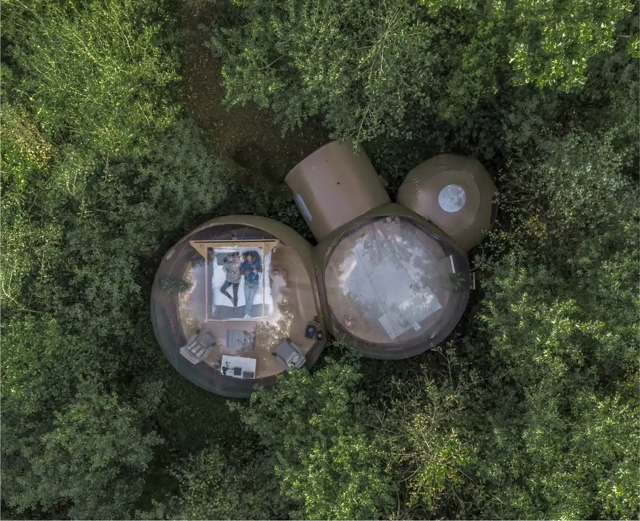 Finn_loughHero - 1245x1014