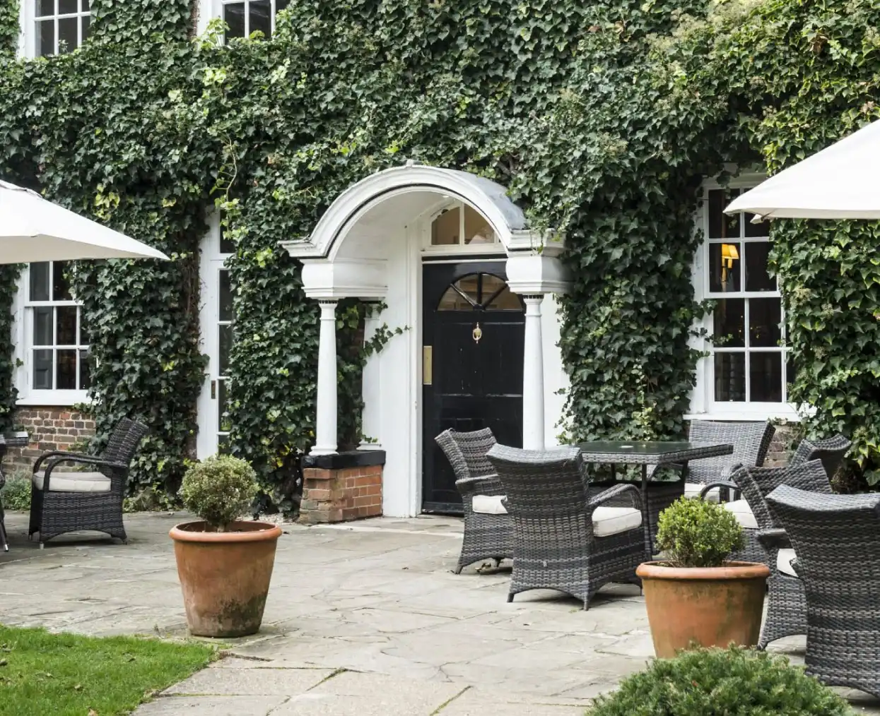 bush-1245-x-1352---Hero (1)