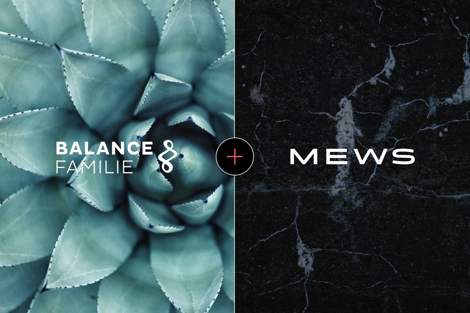 https://www.mews.com/hubfs/1560_1040_Balance_familie_pressrelease.jpg