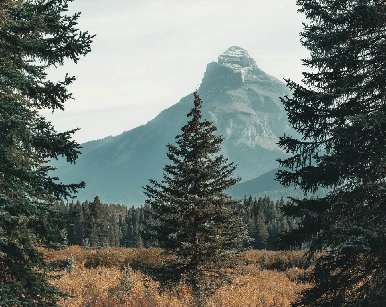 nordics - 2 Website body Image 2 1352 x 1076-50