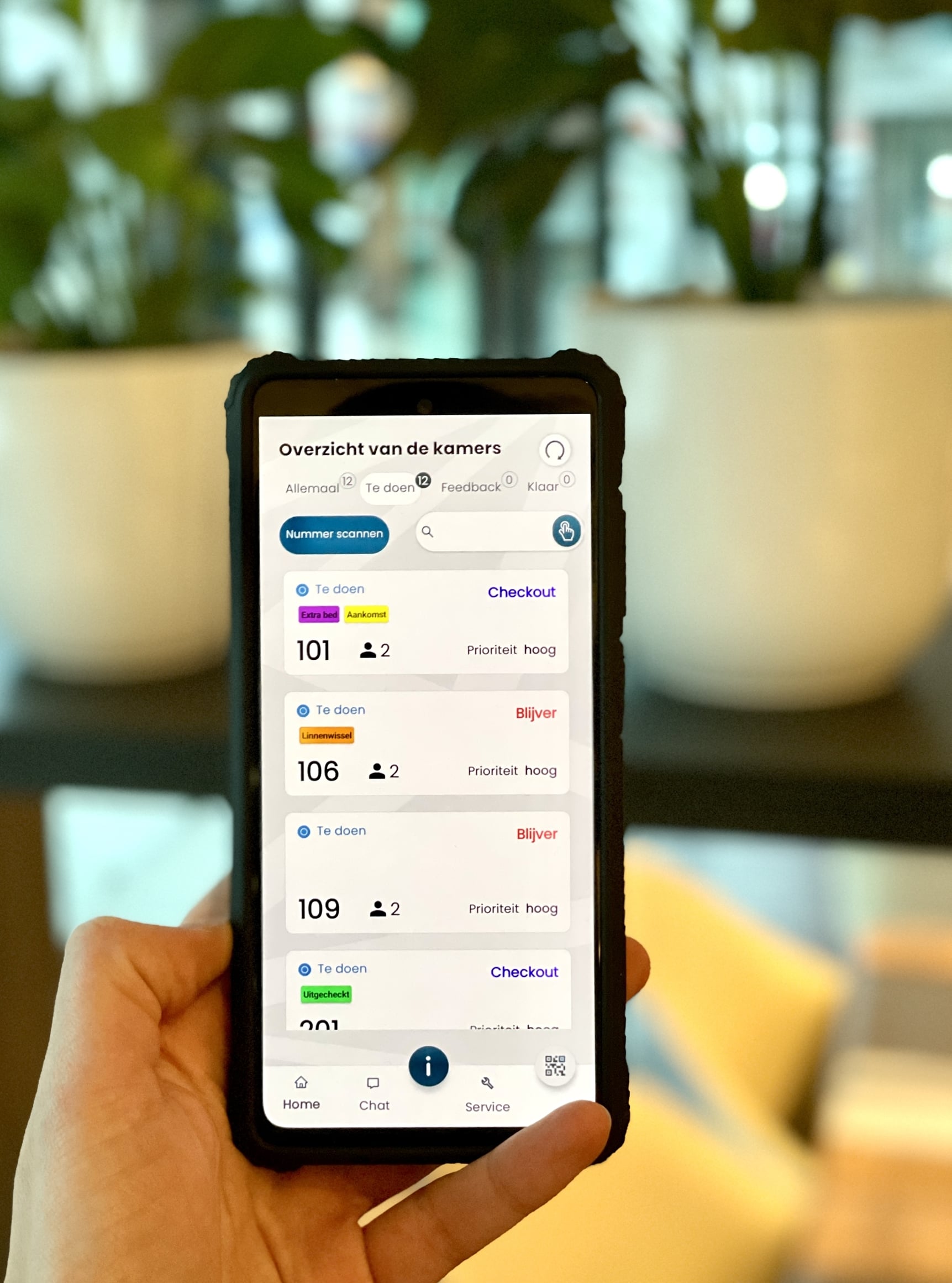 Miqa product image 4