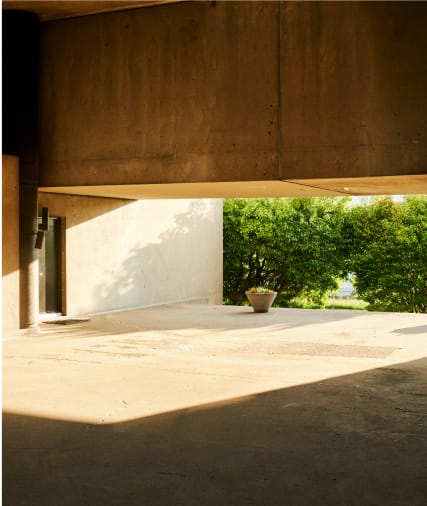 Betonunterführung mit Sonnenlicht, weißer Wand, grünen Bäumen und einer Topfpflanze draußen.