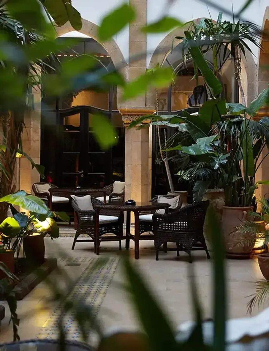 LHeure Bleue Palais.webp