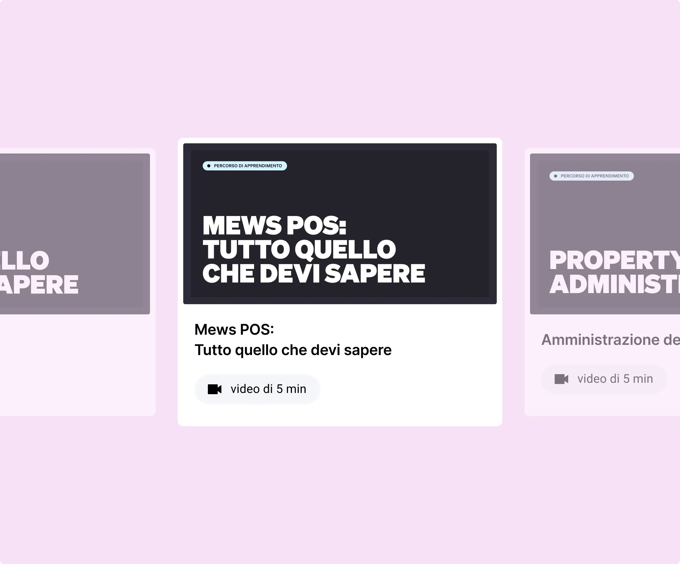 Master mews in no time-1.webp