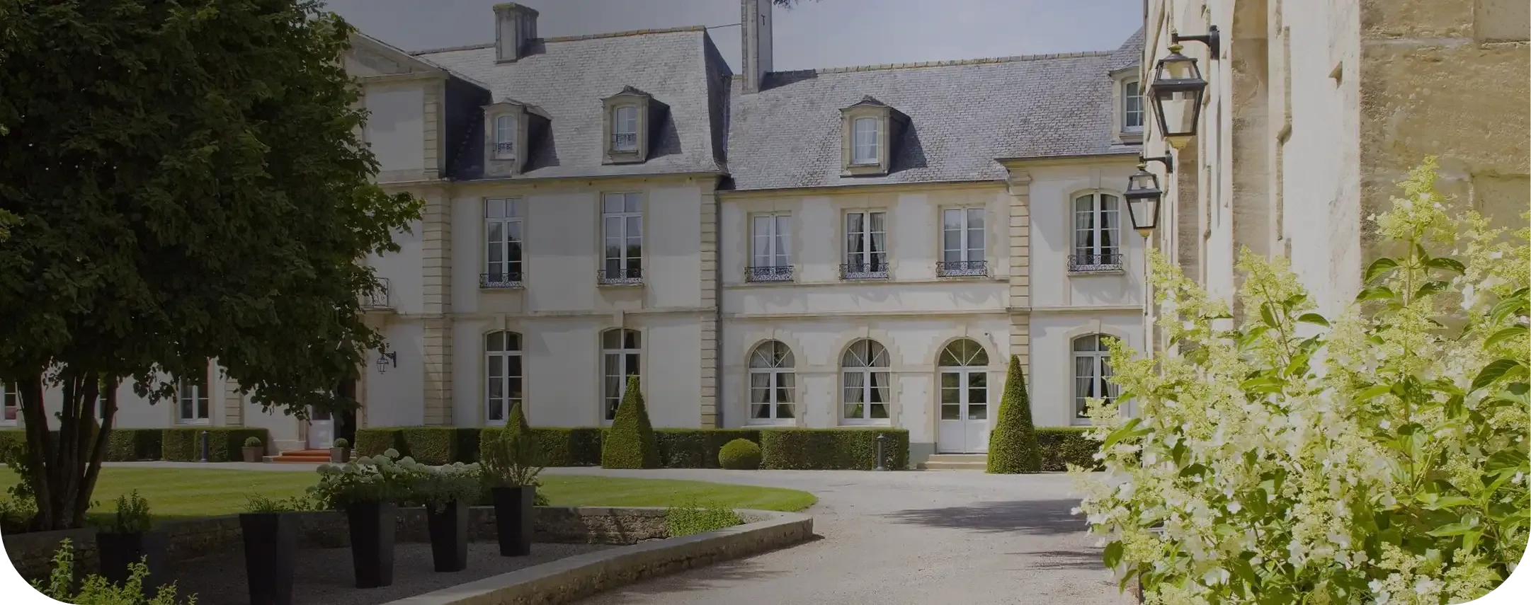 Mews x Teritoria.webp