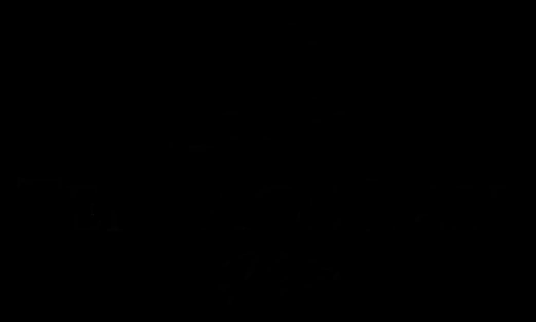 Terrace-Bay-Hotel-Logo_Stacked-Gold_Stacked-black.webp