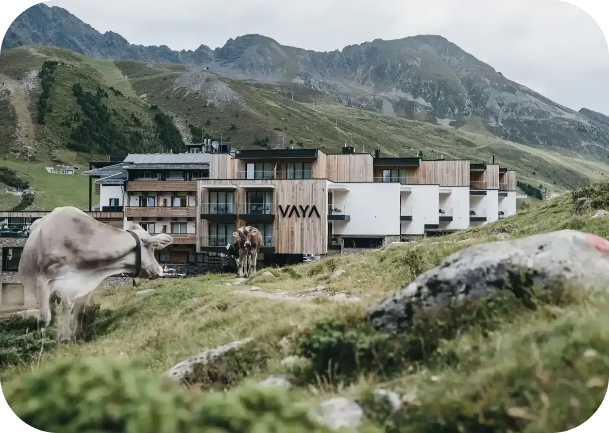 Vaya Resort.webp