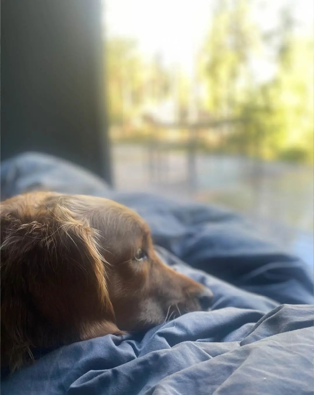 From seamless guest journey to scalable tech stack, Grend finds a perfect partner in Mews Website body Image 6 1076 x 1352-50