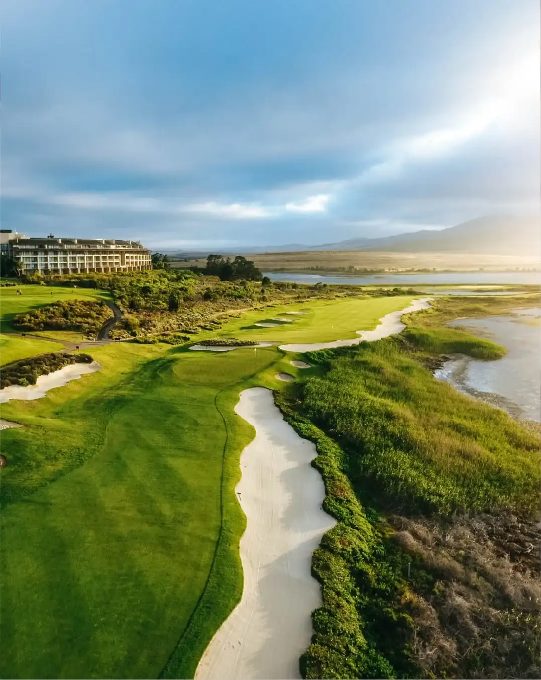 Southern Sun shines with the help of Mews Website Body Image 2-50