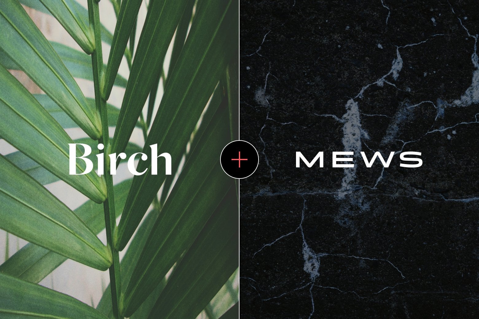 https://www.mews.com/hubfs/230503_Birch_pressrelease.jpg