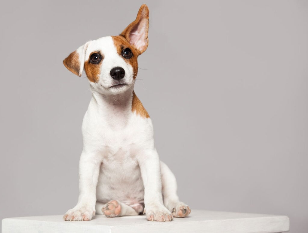 iStock 490022138 for web - imported from www.mews.com