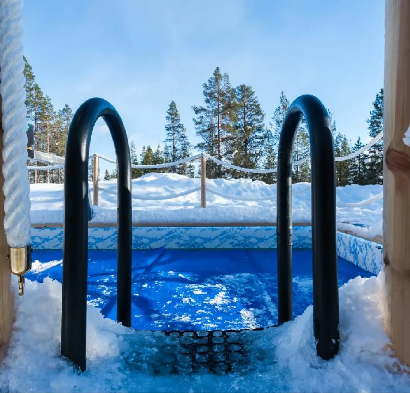 Square image next quotes- 1356x1300 copy 3-50-1