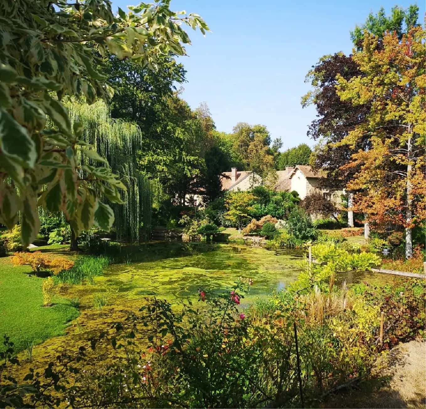 1357 x 1301 - Quote Image 1