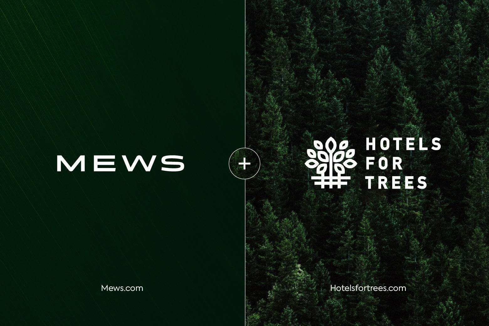 https://www.mews.com/hubfs/Hotels-for-trees_780x520.jpeg