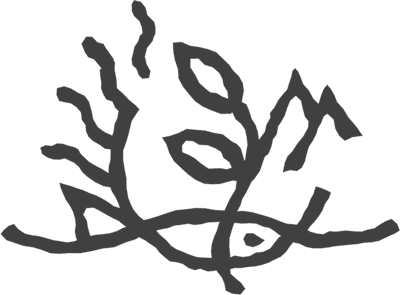 Domaine de Murtoli