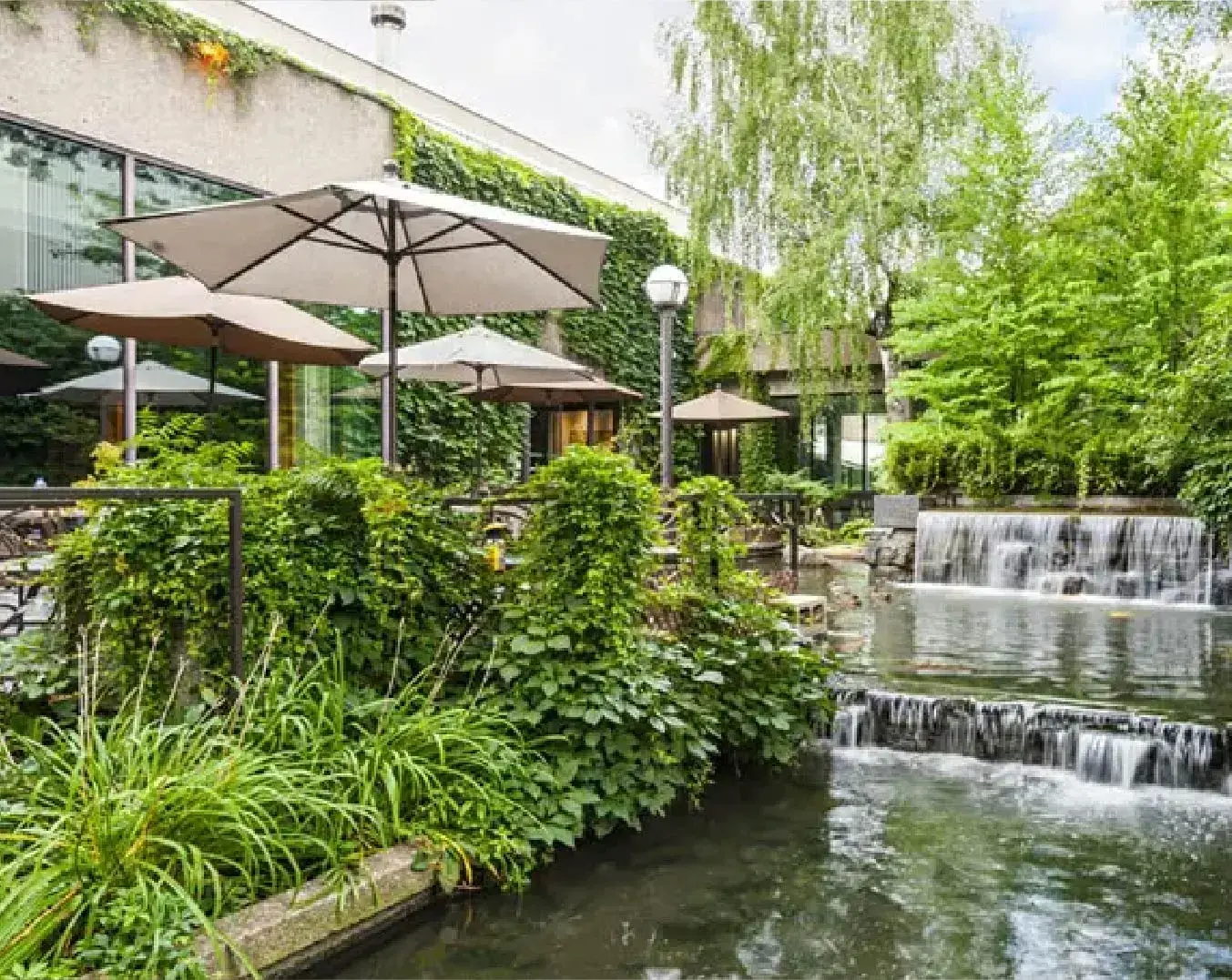 KEJJA sees Mews as the PMS of the future, driving stellar results Website body Image 2 1352 x 1076-50-1