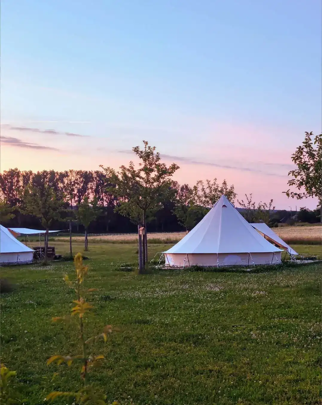 Hotel-_-Glamping-Pluimpapaver-Website-body-Image-6-1076-x-1352-50