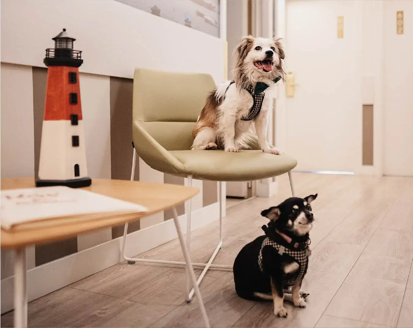 Hotel Atlántico Vigo Website body Image 4 1076 x 1352-50