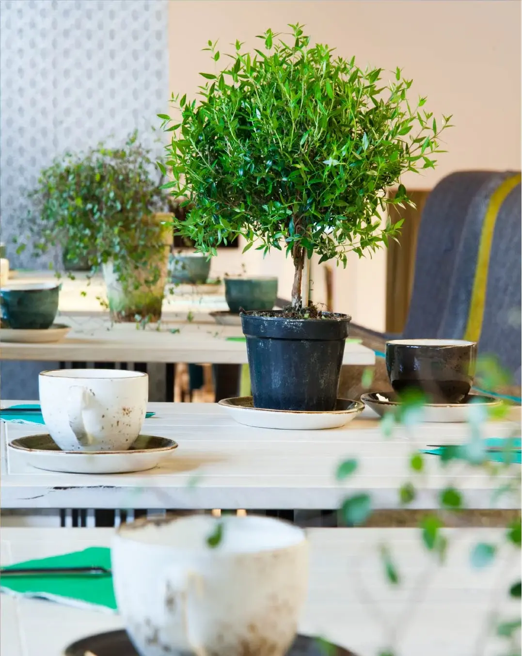 Absalon Hotel Portrait body image - 1076x1352 copy-50