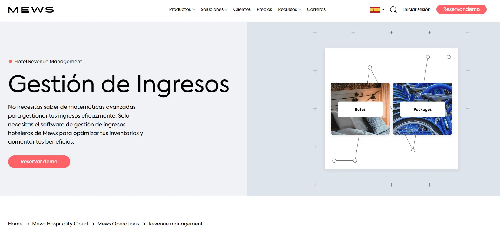 mews gestion de ingresos.webp