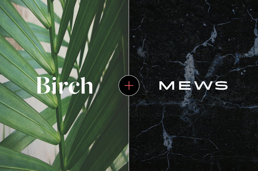 230503_Birch_pressrelease
