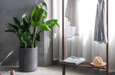 Automation, housekeeping and you: how to optimize your hotel housekeeping thumbnail