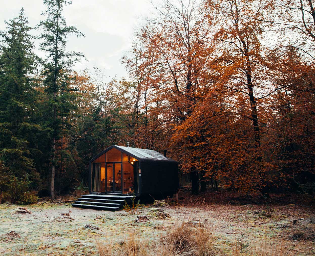 Cabiner hotel in woods