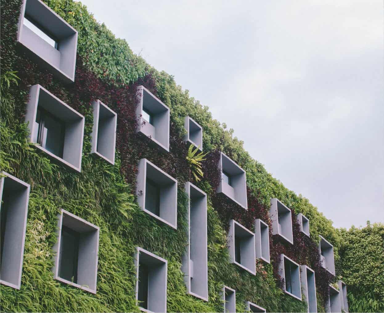 Dollar deelnemen Bijna dood Eco-friendly hotels | 11 ideas to make your hotel susta... | Mews Blog