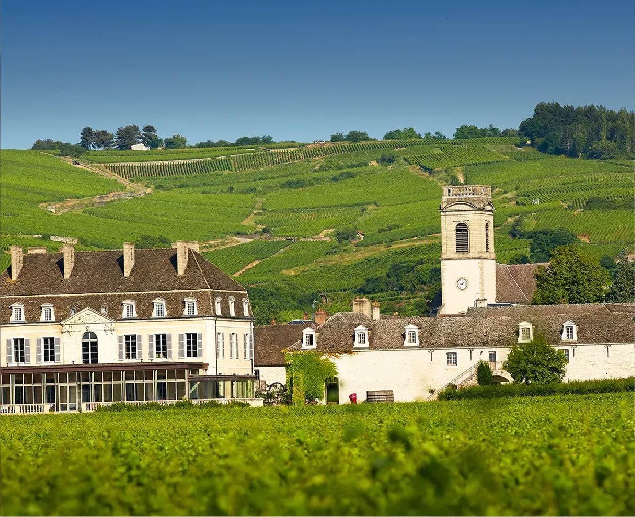Hostellerie Cèdre & Spa  Hero - 1245x1014-50