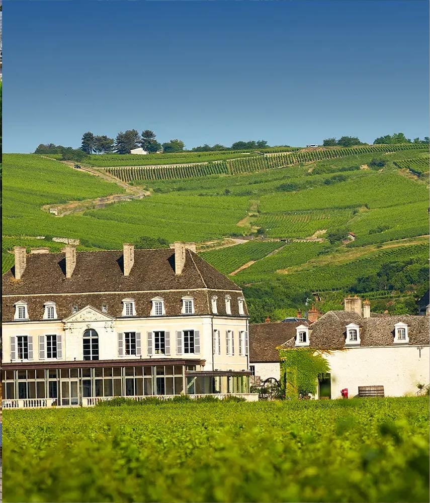 Hostellerie Cèdre & Spa  Website Category-50