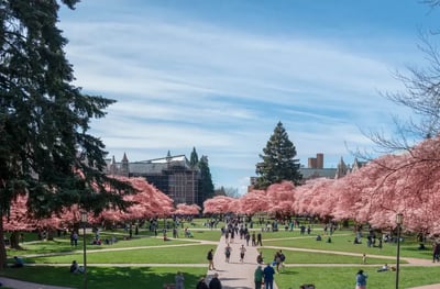 Mews Insights: Hotel Availability Near College Campuses thumbnail