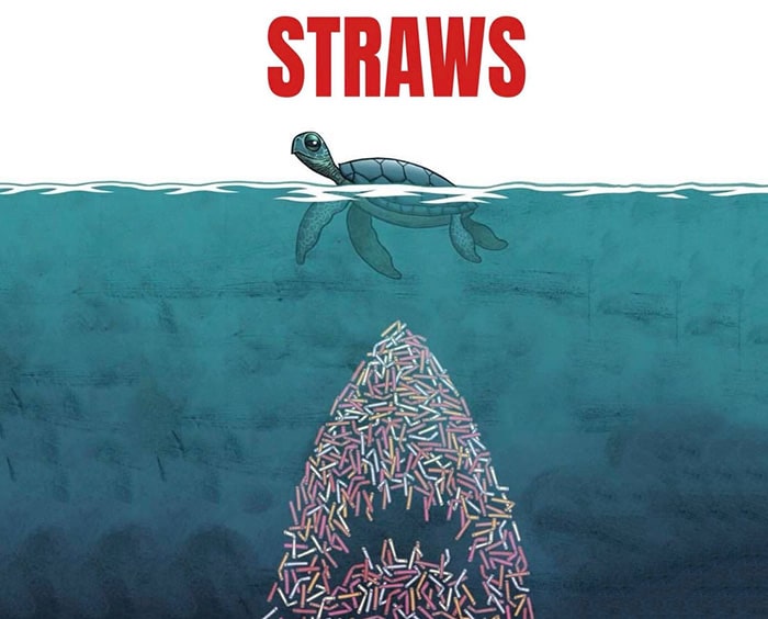 Straws_opt