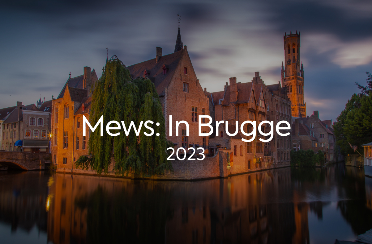 Mews in Brugge 