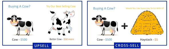 Upsell-and-Cross-sell-cow