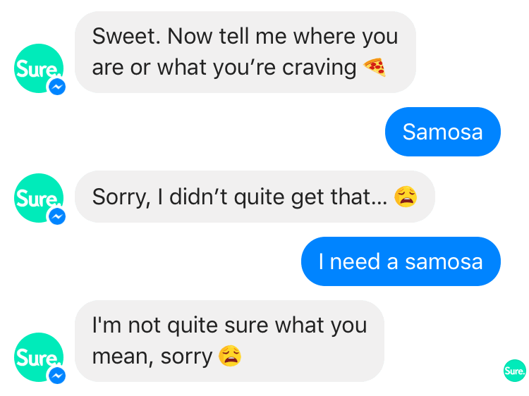 chatbot samosa