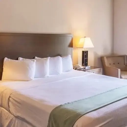 Otter -  Case Study Body Image 2 