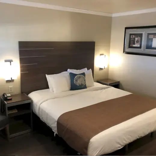 Otter Case Study Body Image 4 