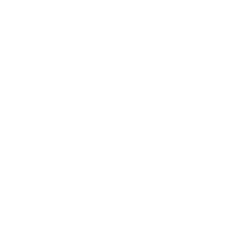 No1-icon-faded