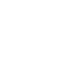 No2-icon-faded