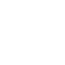 No3-icon-faded