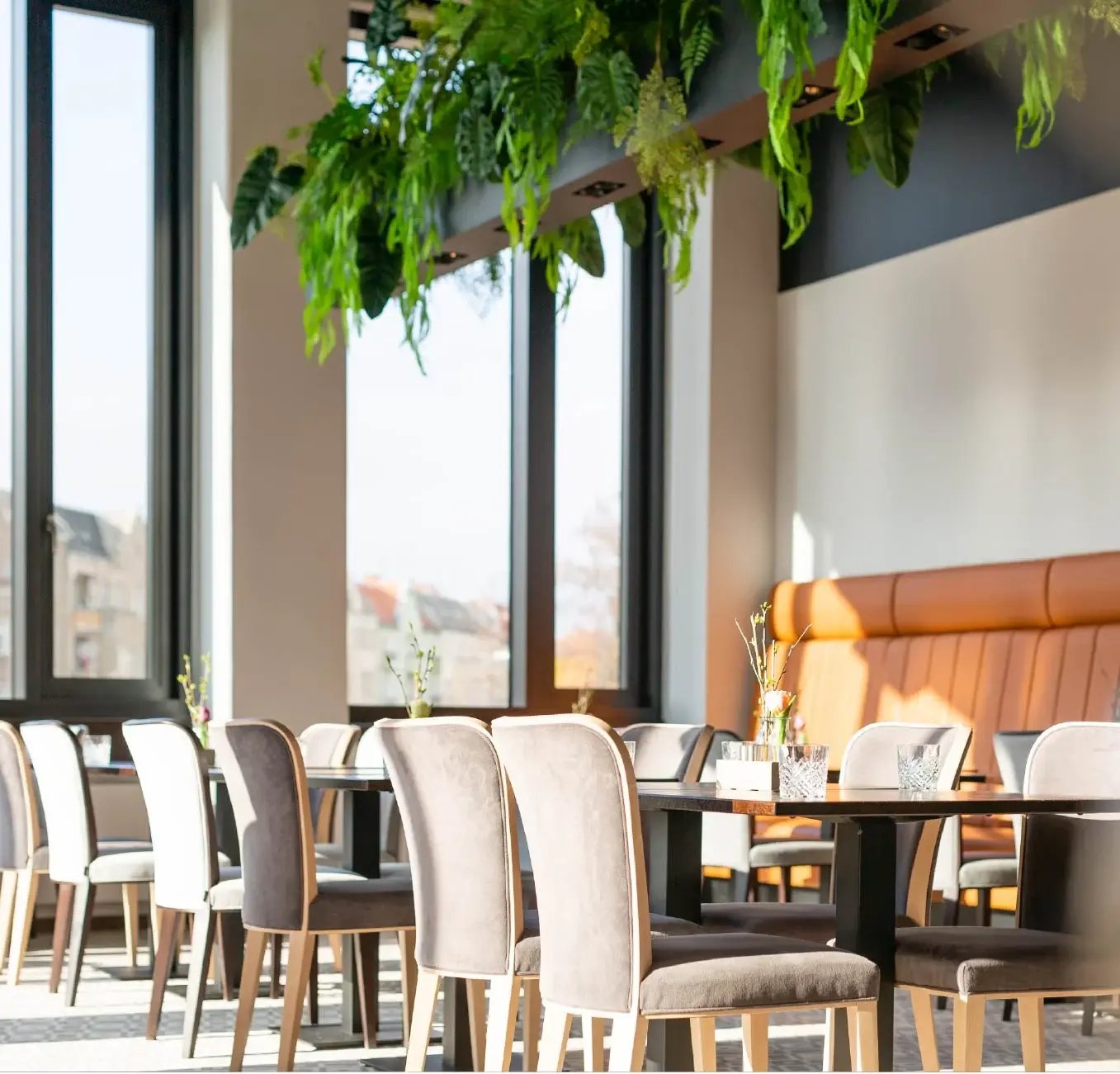 Mercure_Moa_Case_Study_Image 7-1 (1) 