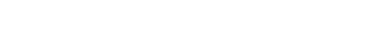 The gate white