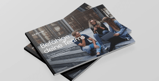 befahige deine teams