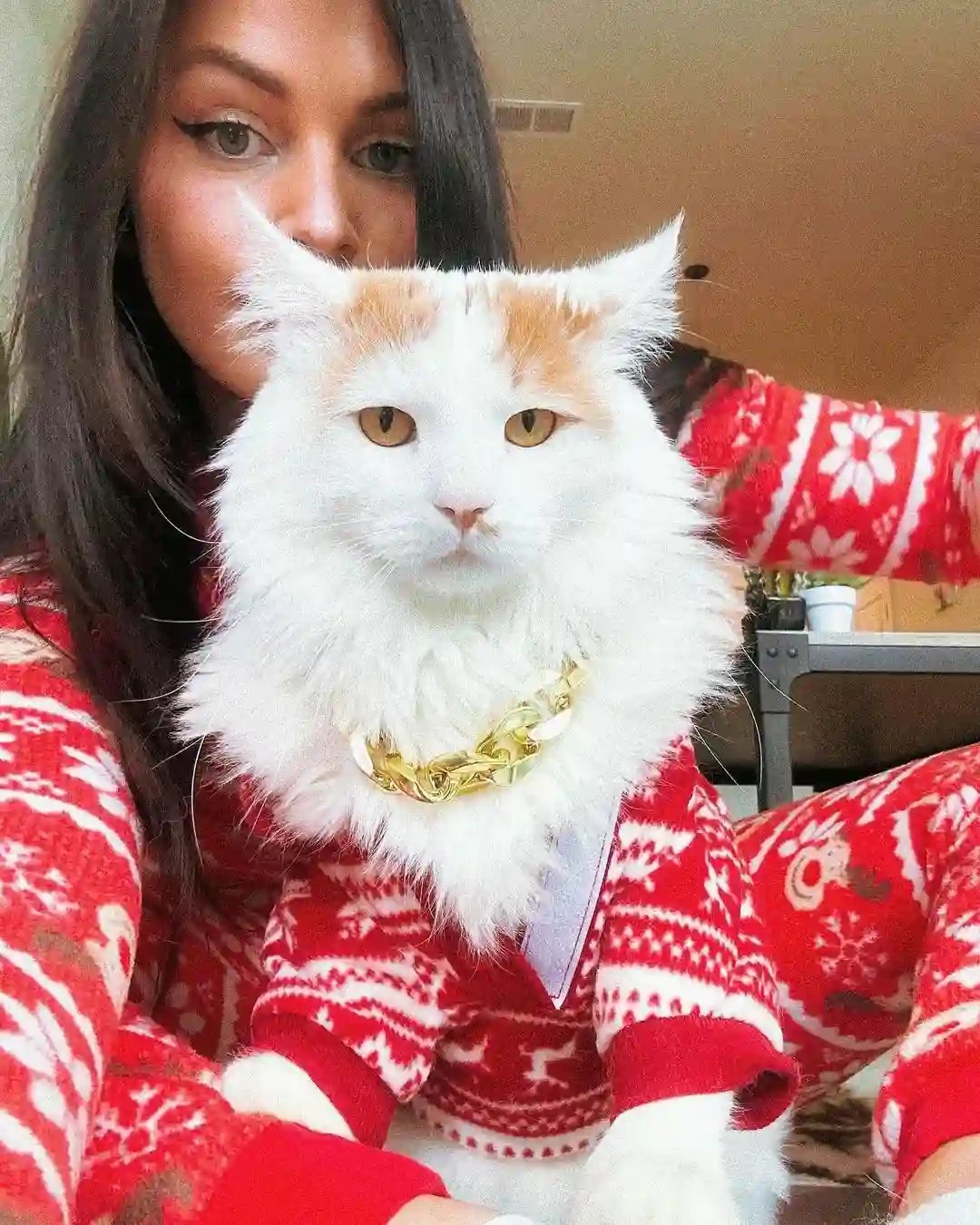 mews-instagram-christmas