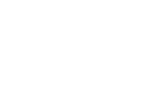 southern-sun-logo-white